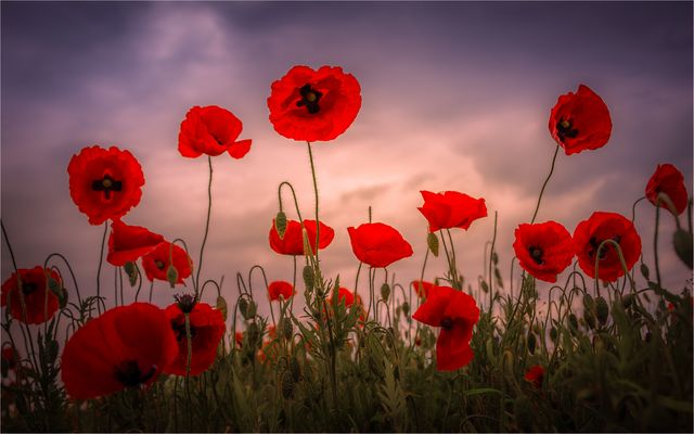 —— von unten ——