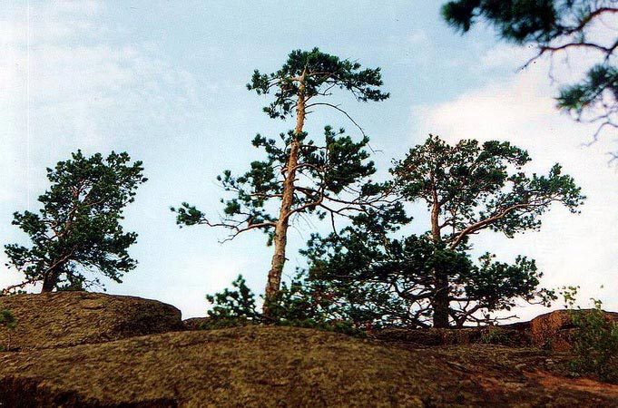 von unten nach oben