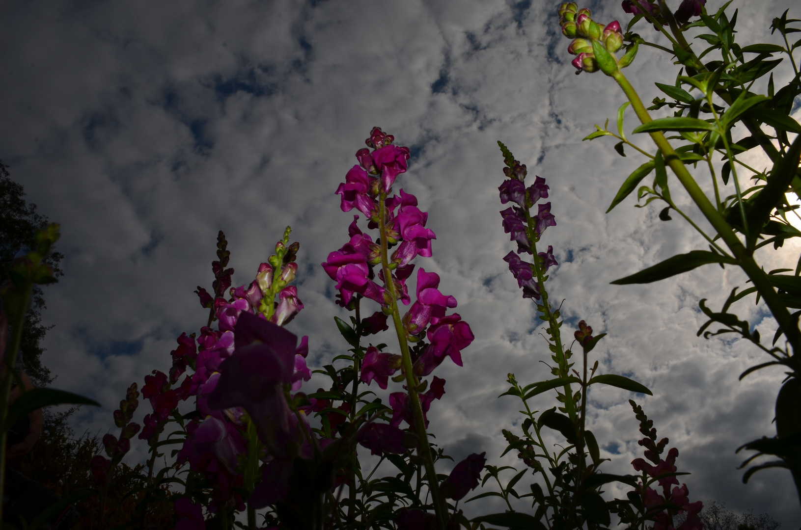 Von unten zum Himmel