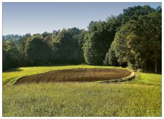 Von Wald umgeben