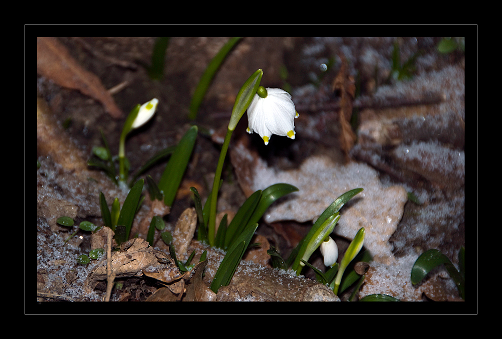 Von wegen Frühling...