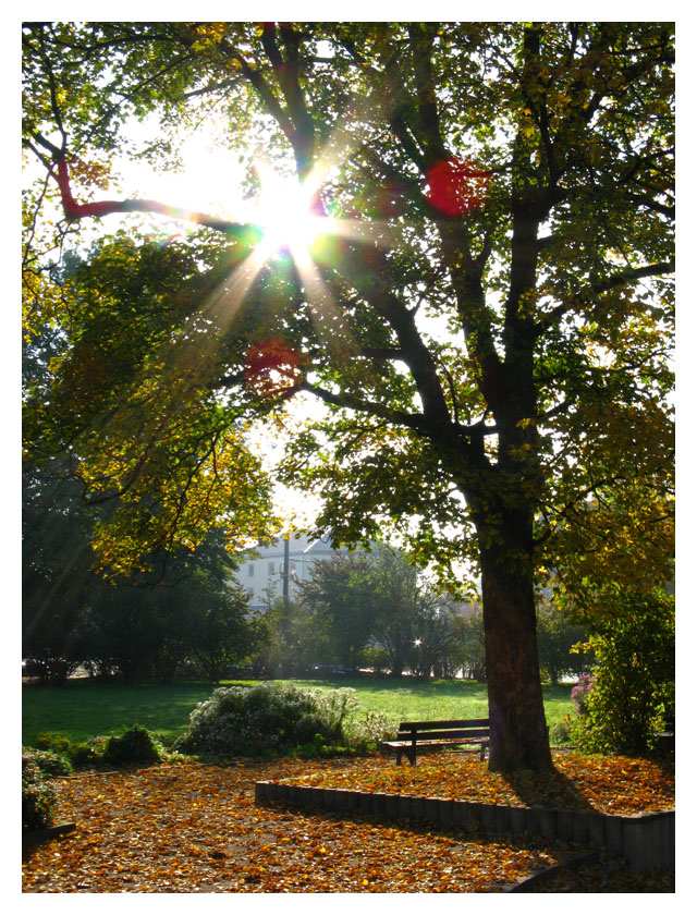 Von wegen graunasser Herbst...