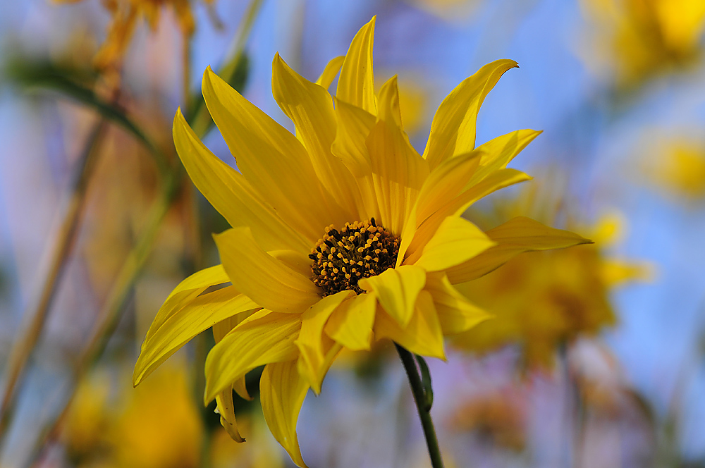 Von wegen HERBST