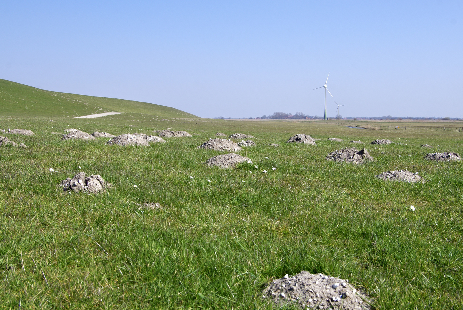 Von wegen plattes Land