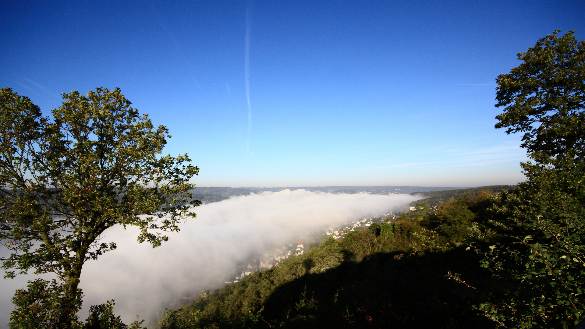 .. von wegen Rheinblick....