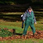 Von wegen Ruhe im Park...