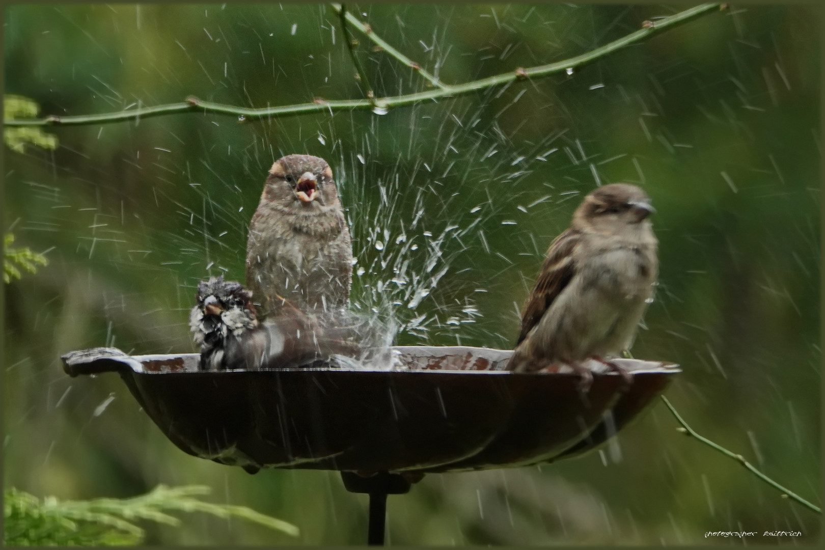 Von wegen schlechtes Wetter....