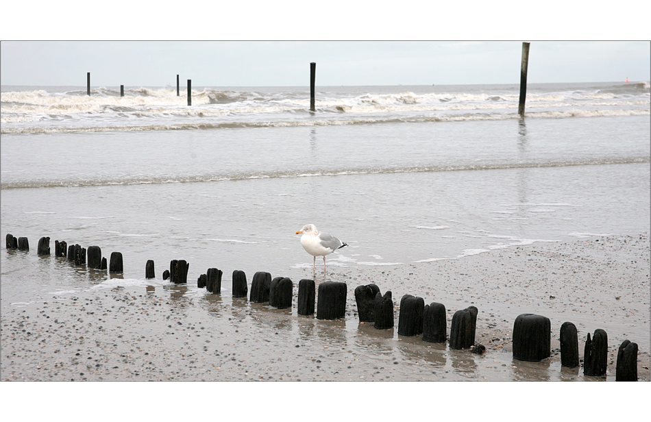 von wegen "wasser hat keine balken..."