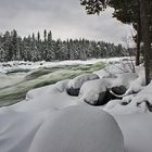 Von wegen Winter fällt aus