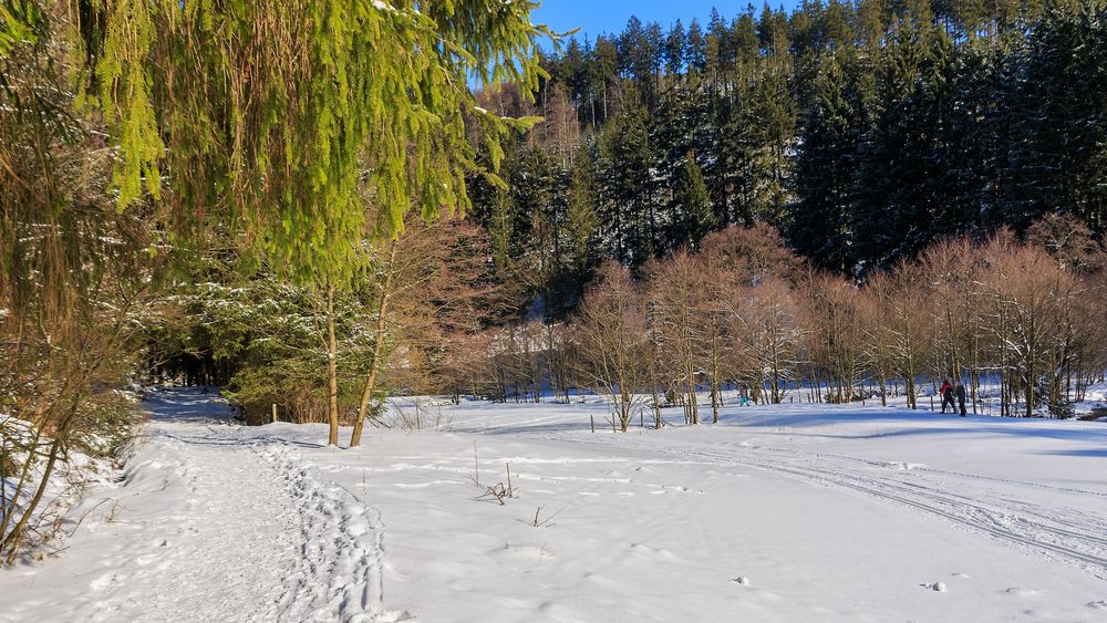 Von Willingen nach Upland