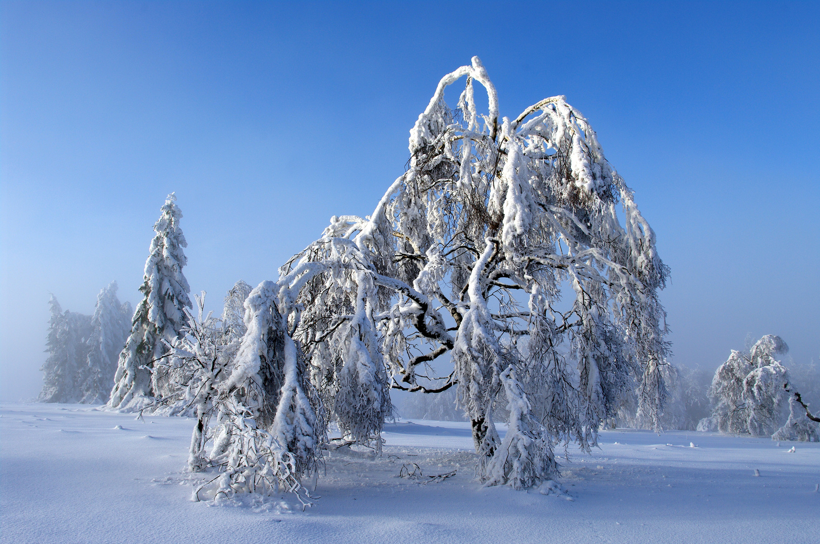 Von Wind und Wetter geformt