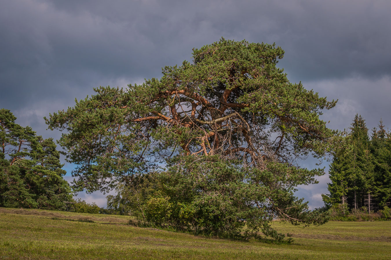 Von Wind und Wetter geprägt