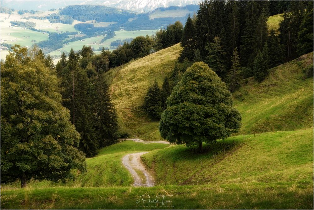 Von Wind und Wetter gestärkt