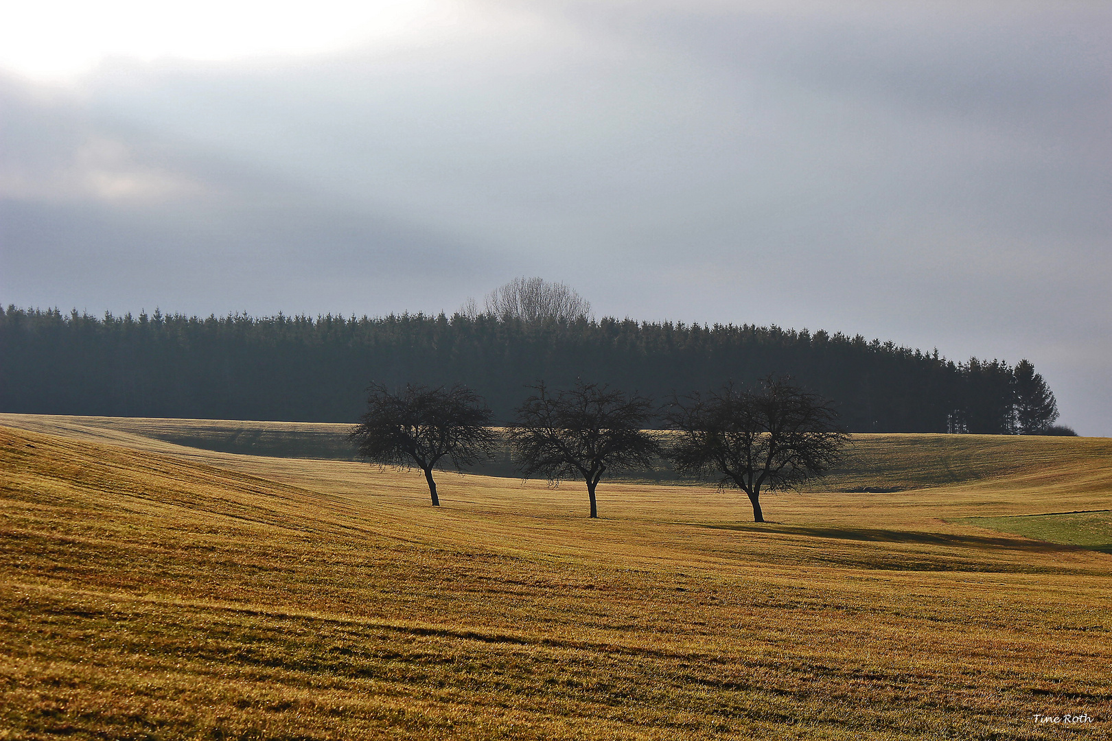 von Winter keine Spur