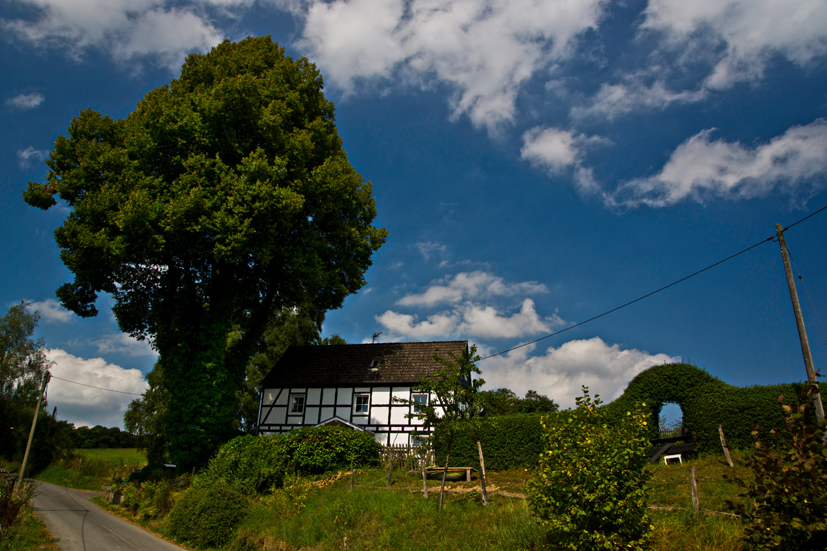 von Wipperfeld nach Hollinden IV