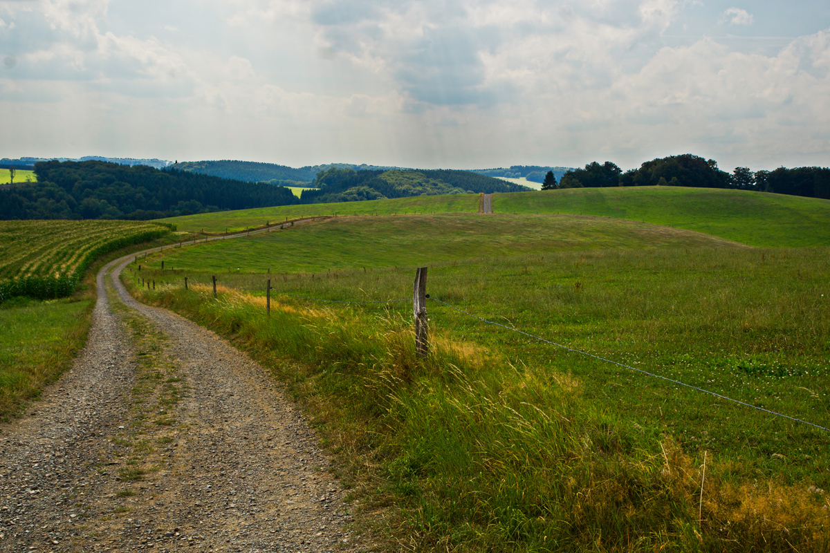 von Wipperfeld nach Hollinden V