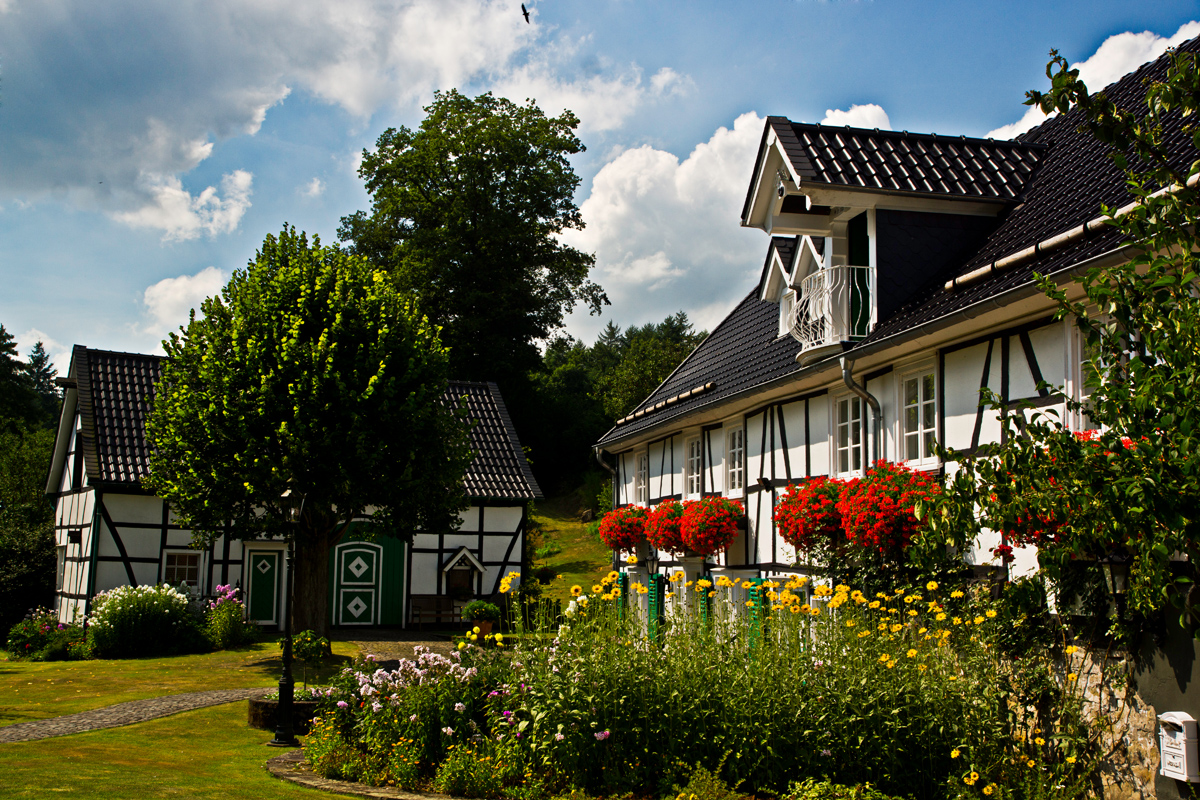 von Wipperfeld nach Hollinden VI