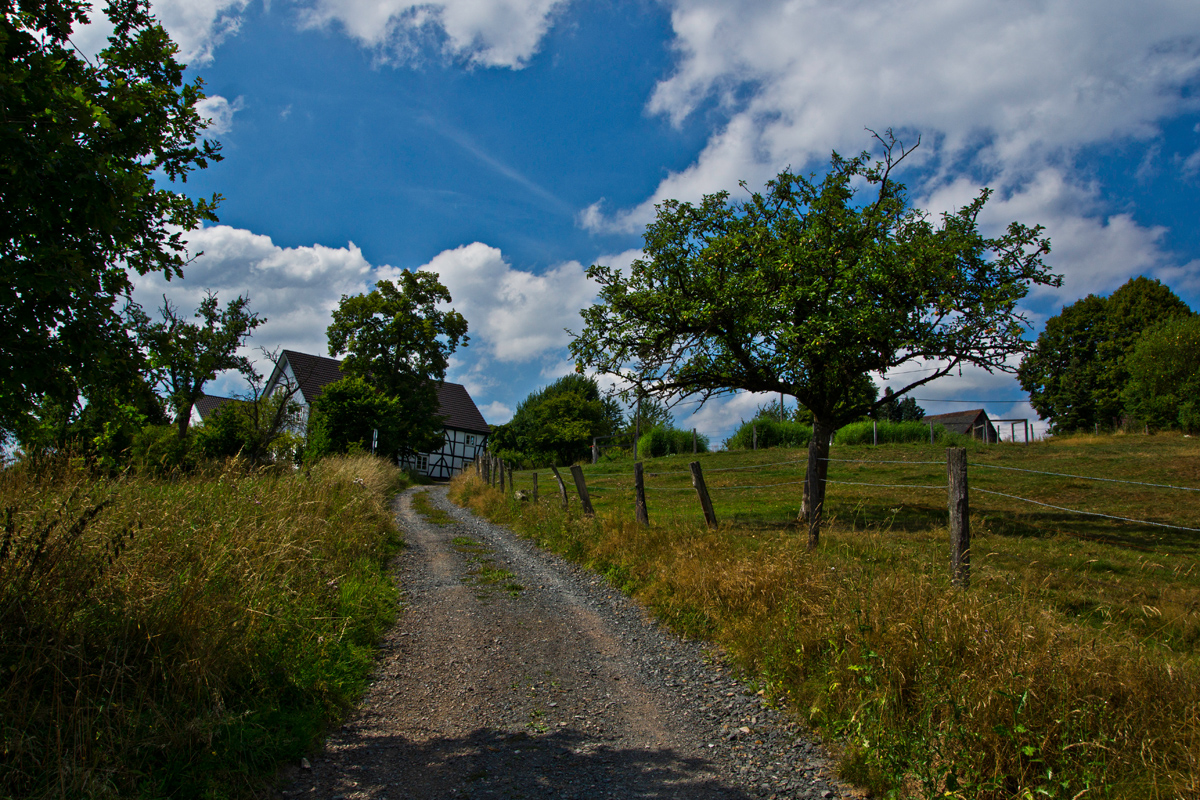 von Wipperfeld nach Hollinden VII