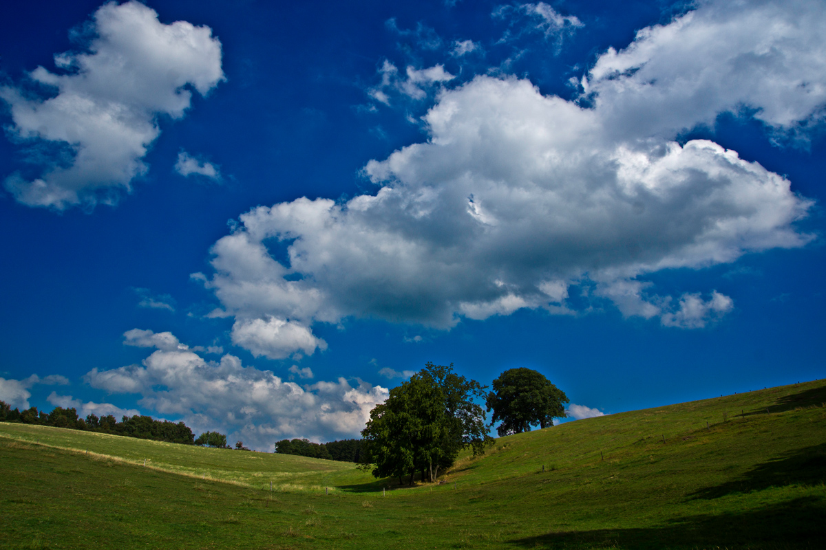 von Wipperfeld nach Hollinden VIII