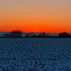 .... von Wissersheim nach Westen Richtung Sonnenuntergang .....