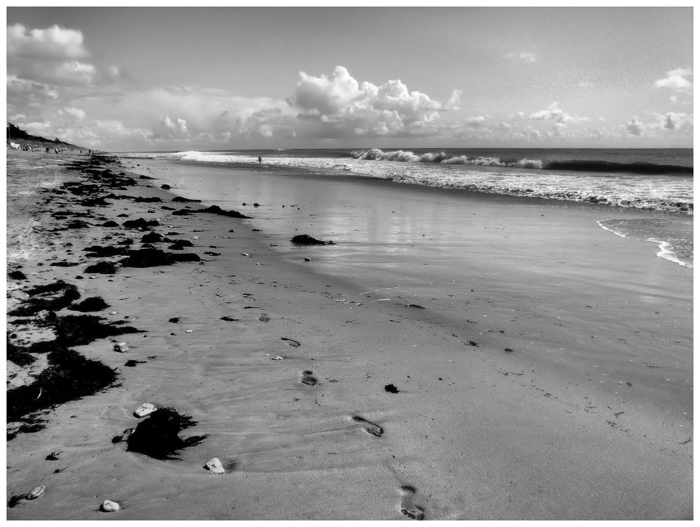 von wo kommen die Spuren im Sand...