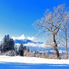 Von Wolken umwoben waren die Berggipfel