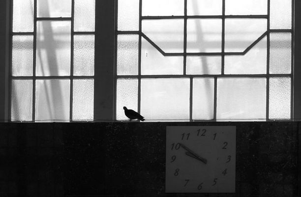 Von Zugvögeln, Zeitzeigern und Nervensägen