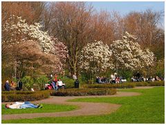 Vondel-Park Amsterdam