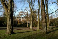 Vondelpark - 03