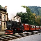 Vor 10 Jahren in Eisfelder Talmühle