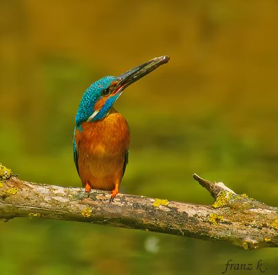             Vor 10 Tagen ist der Nachwuchs