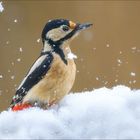 Vor 10 Tagen war plötzlich wieder Winter :-)