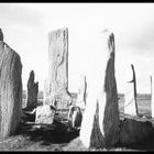 Vor 20 Jahren - Lewis - The standing Stones of Callanish 3