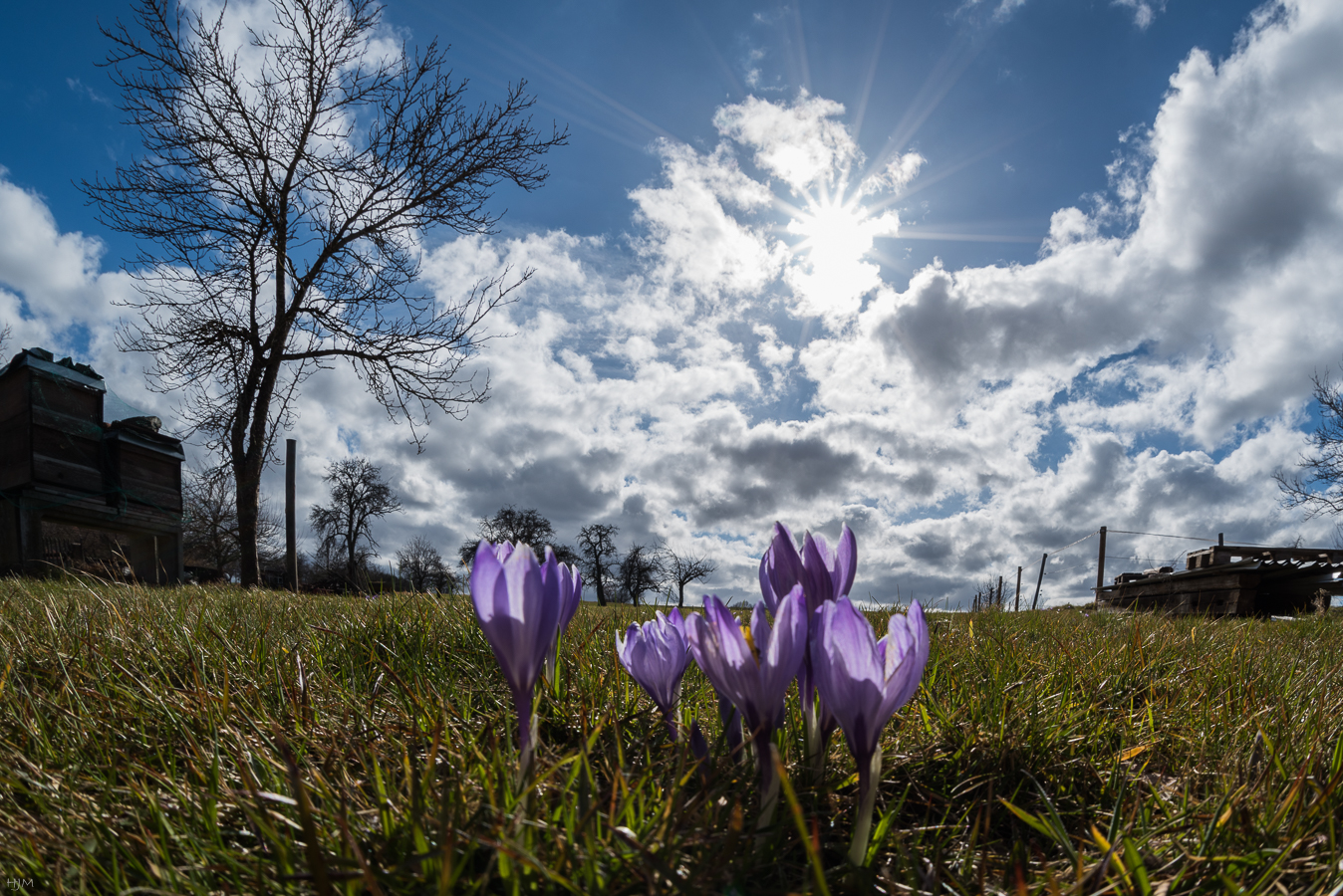 Vor 3 Tagen noch im Sonnenschein