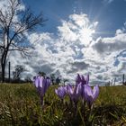 Vor 3 Tagen noch im Sonnenschein