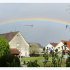 Vor 5 Minuten vor meinem Fenster...