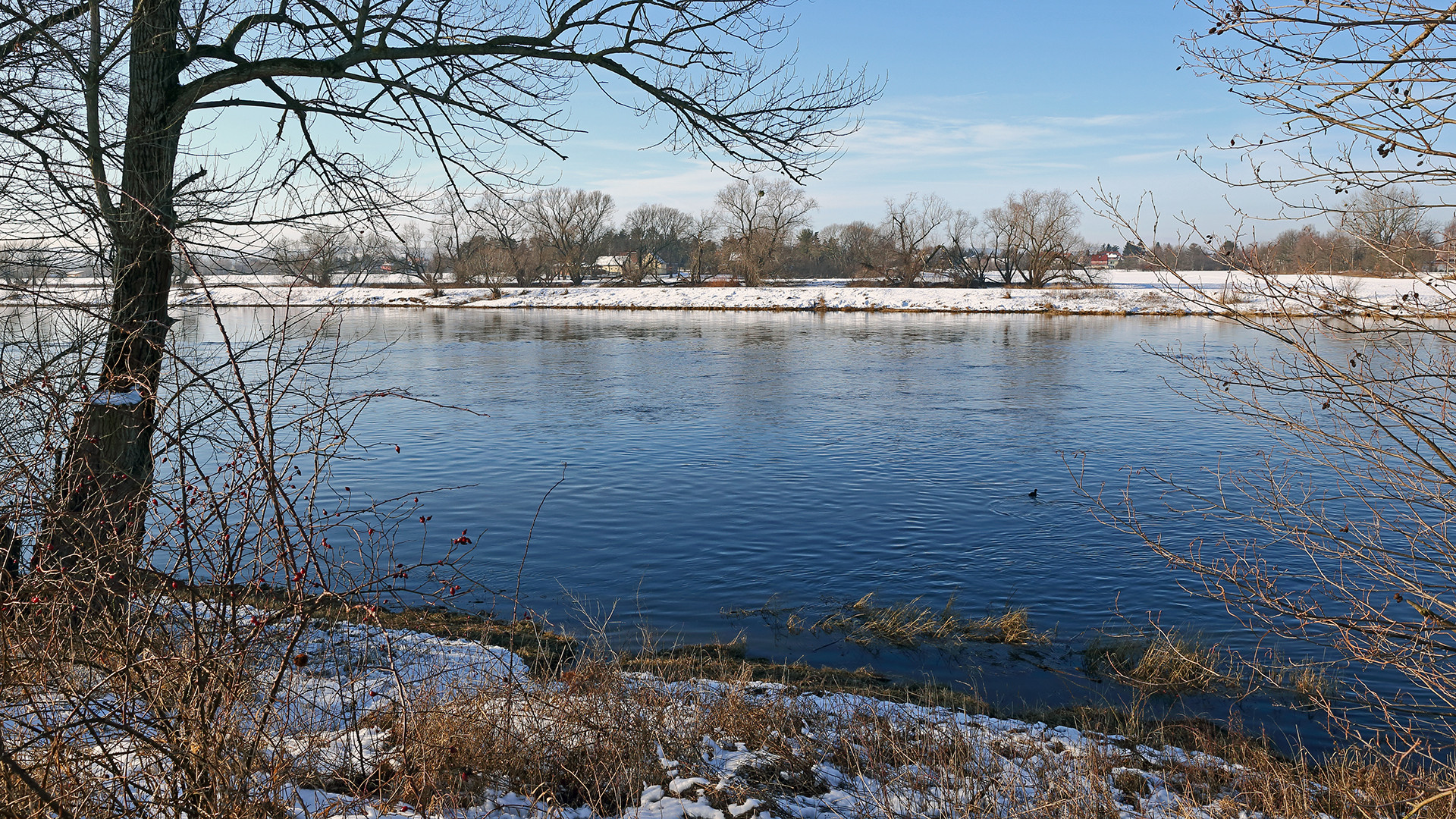 Vor 5 Tagen war noch strahlende Sonne und Winter an der Elbe...