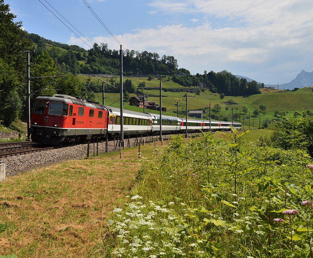 Vor Arth-Goldau