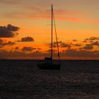 ... vor Barbuda (Karibik) /Caribbean