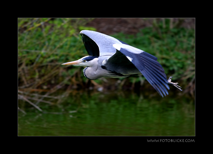 Vor Bei Flug