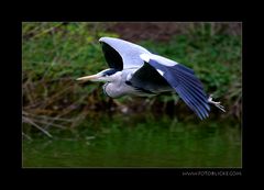 Vor Bei Flug