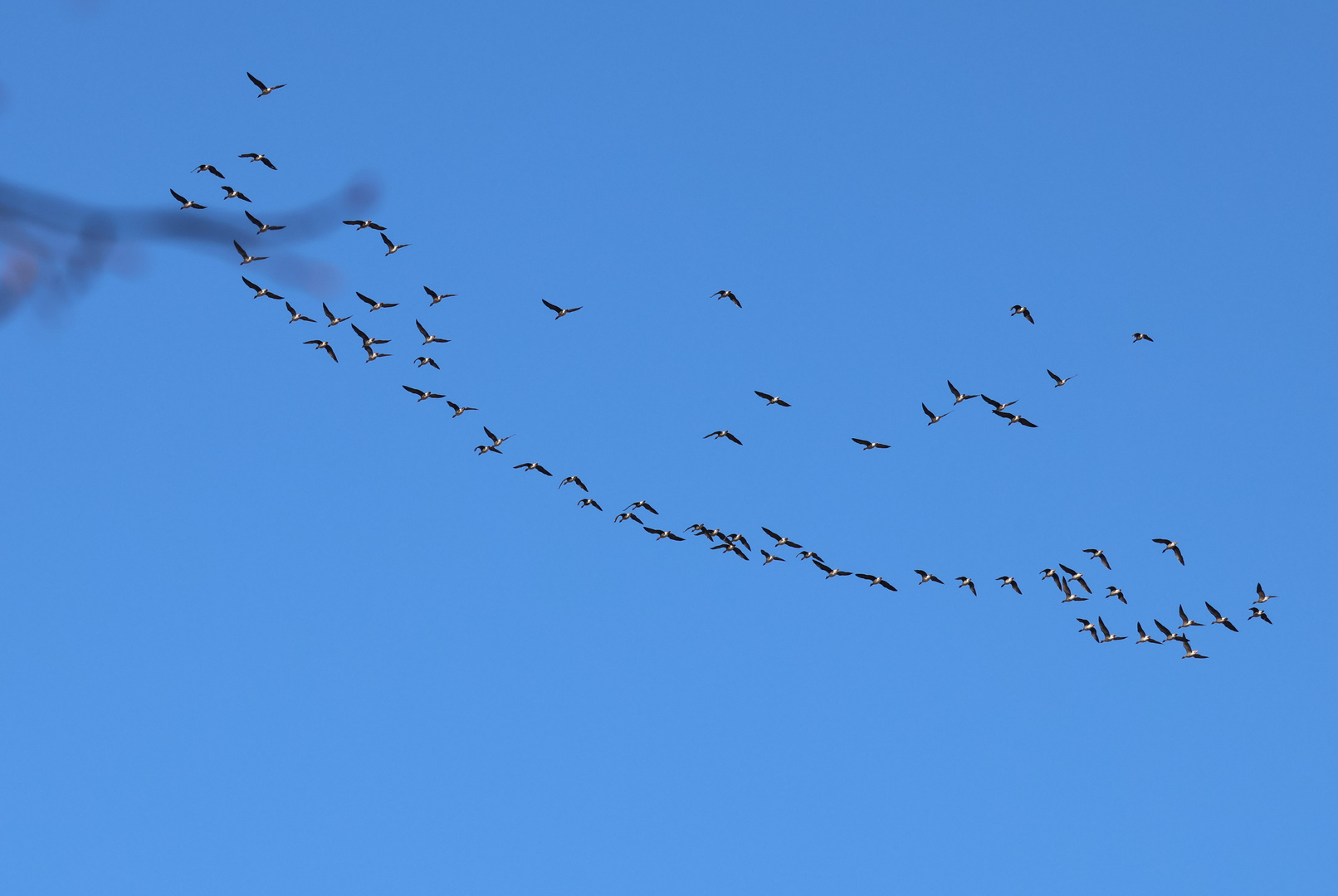 Vor blauem Himmel....