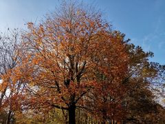 Vor blauem Himmel