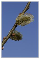 vor blauem Himmel