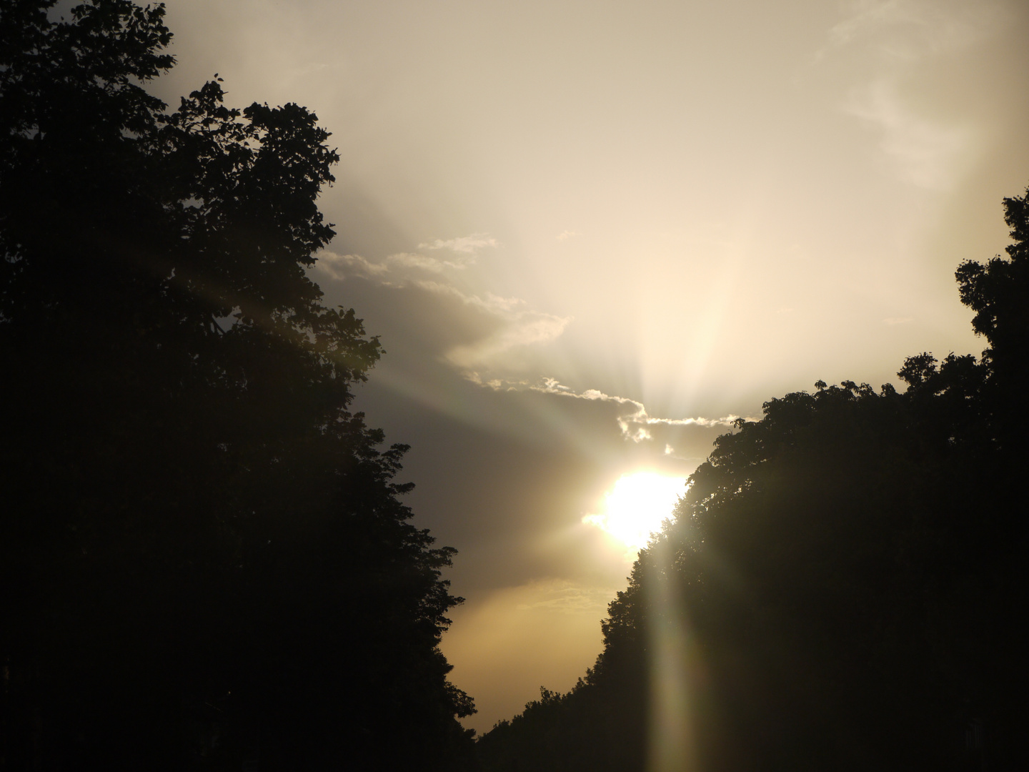 Vor dem Abendgewitter