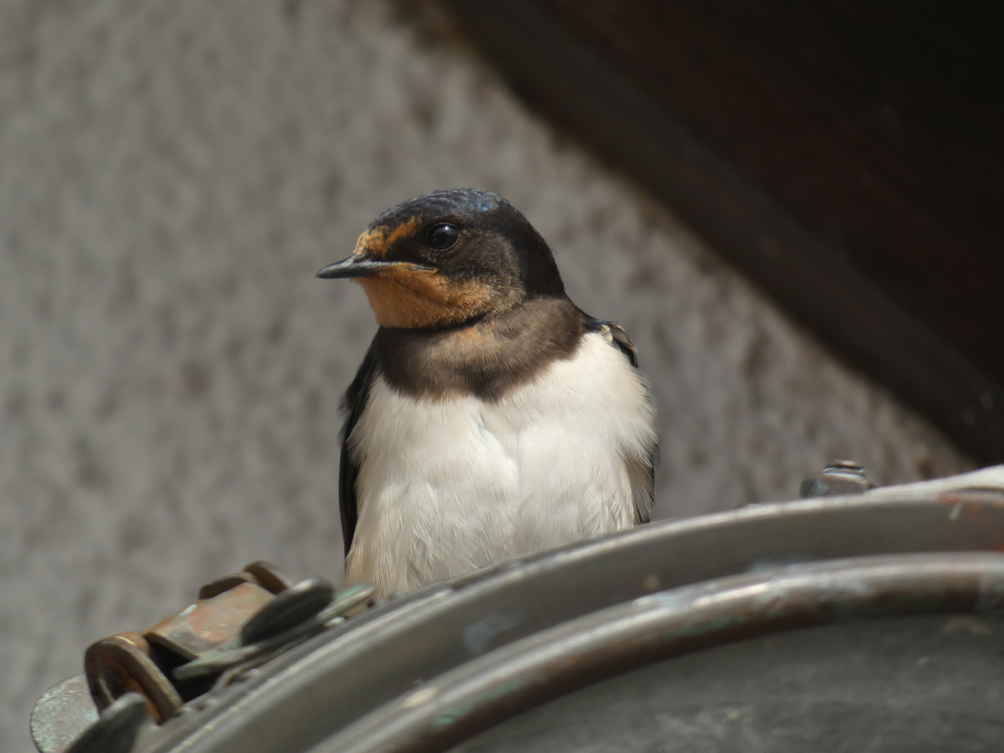 vor dem Abflug