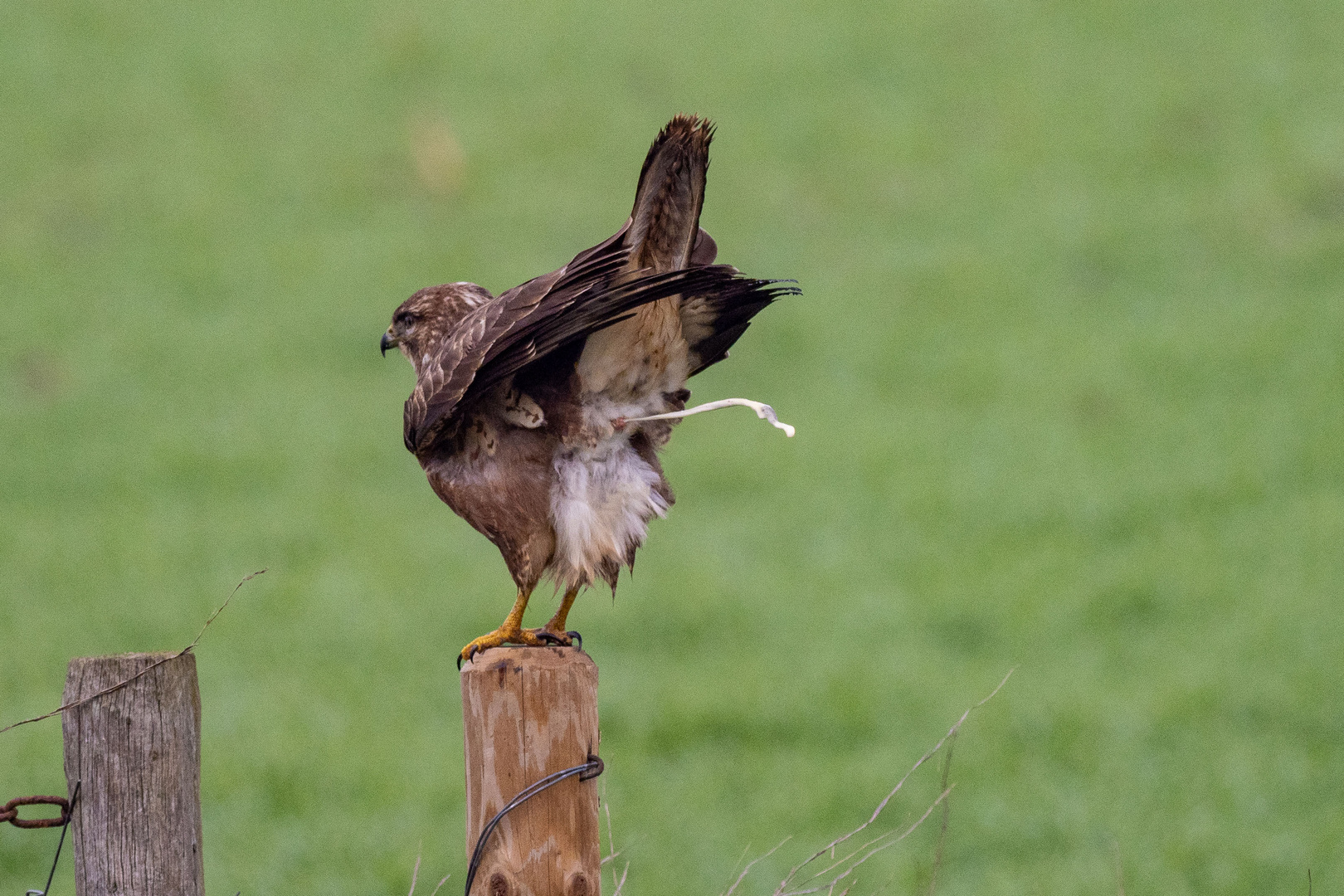 Vor dem Abflug