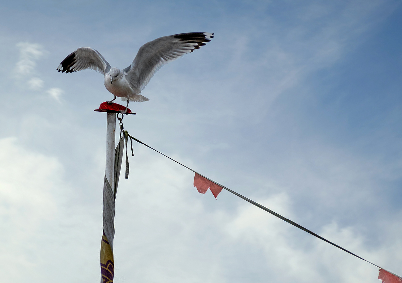 Vor dem Abflug