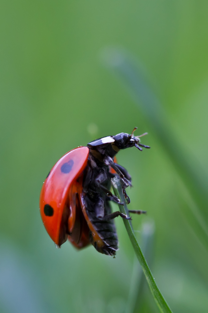 Vor dem Abflug