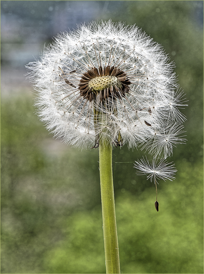 Vor dem Abflug 